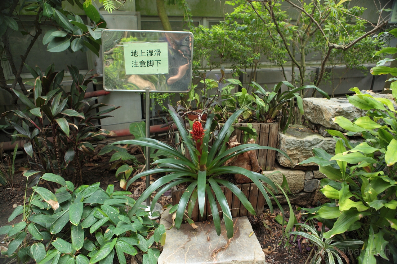 EOS 5D Mark II16_04_20134975.JPG